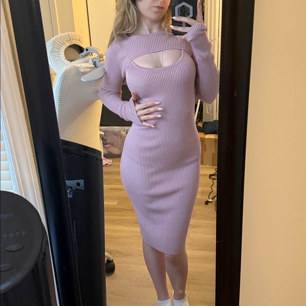 House Of Harlow 1960 Lavender Long Sleeve Dress